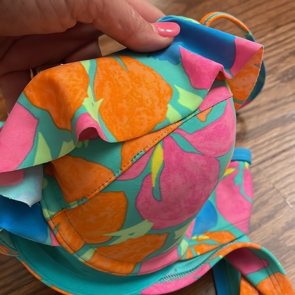 AERIE BIKINI SWIMSUIT SET. Ruffle BLAKELY BRA sz 36C / CHEEKY COUPE BOTTOM sz L - Picture 8 of 10